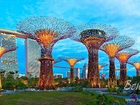 Gardens by The Bay (Singapore)