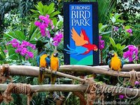 Bird Park (Singapore)